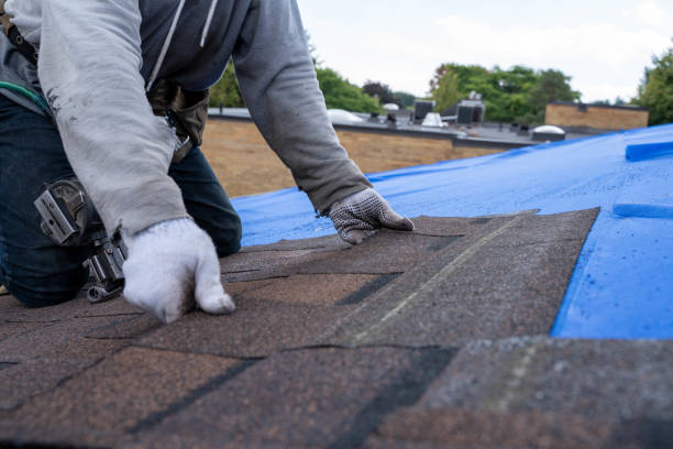 Best Roof Repair Services  in Cathcart, WA